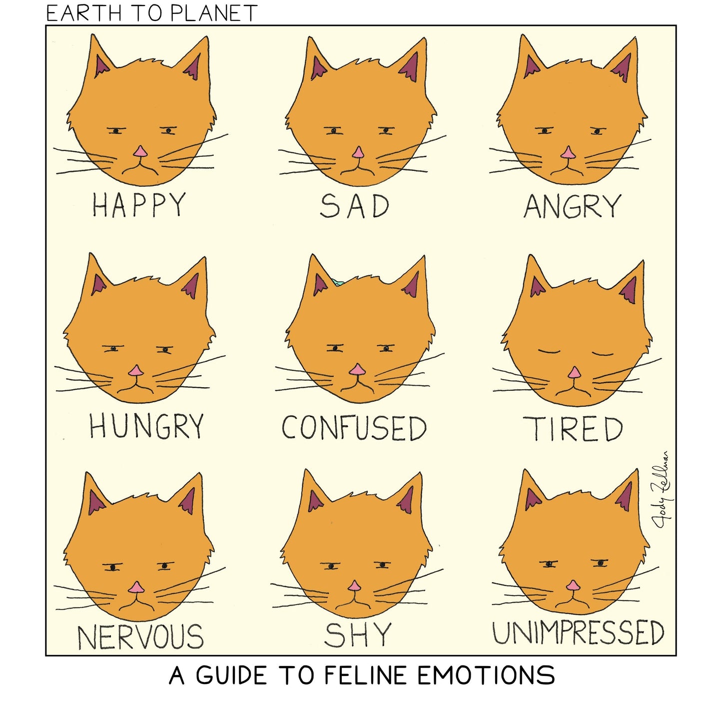 A Guide To Feline Emotions Cartoon