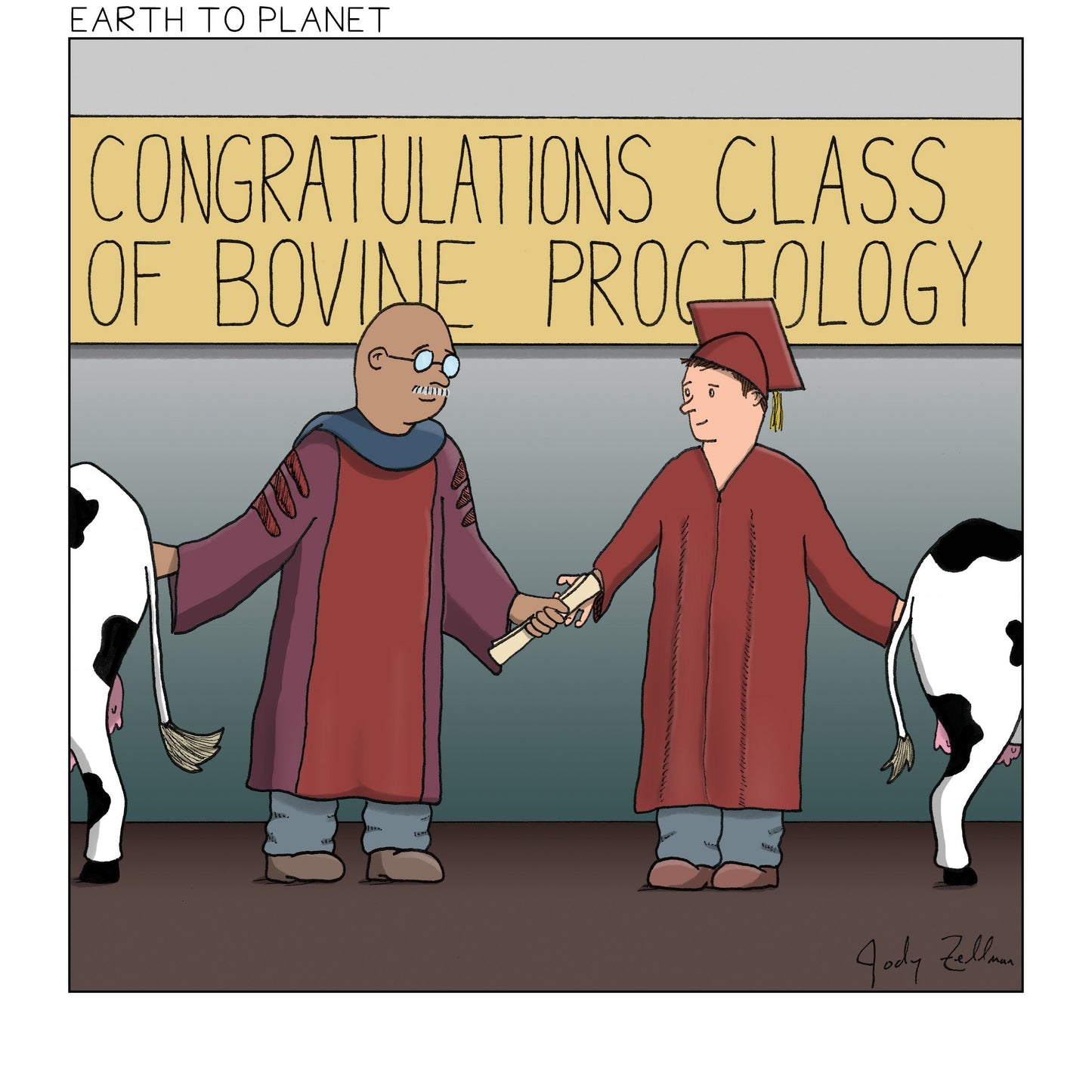 Bovine Proctology Cartoon