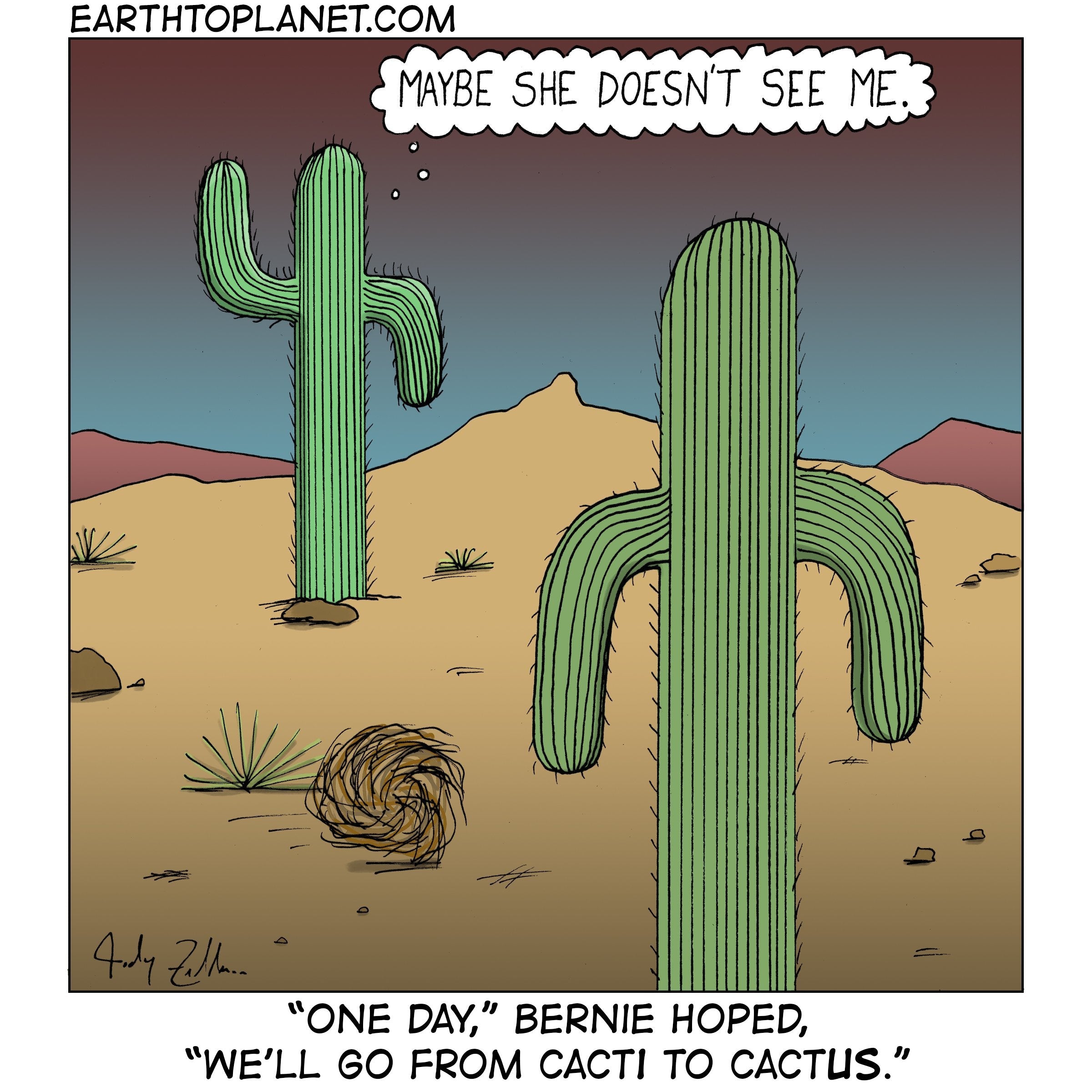 Cacti