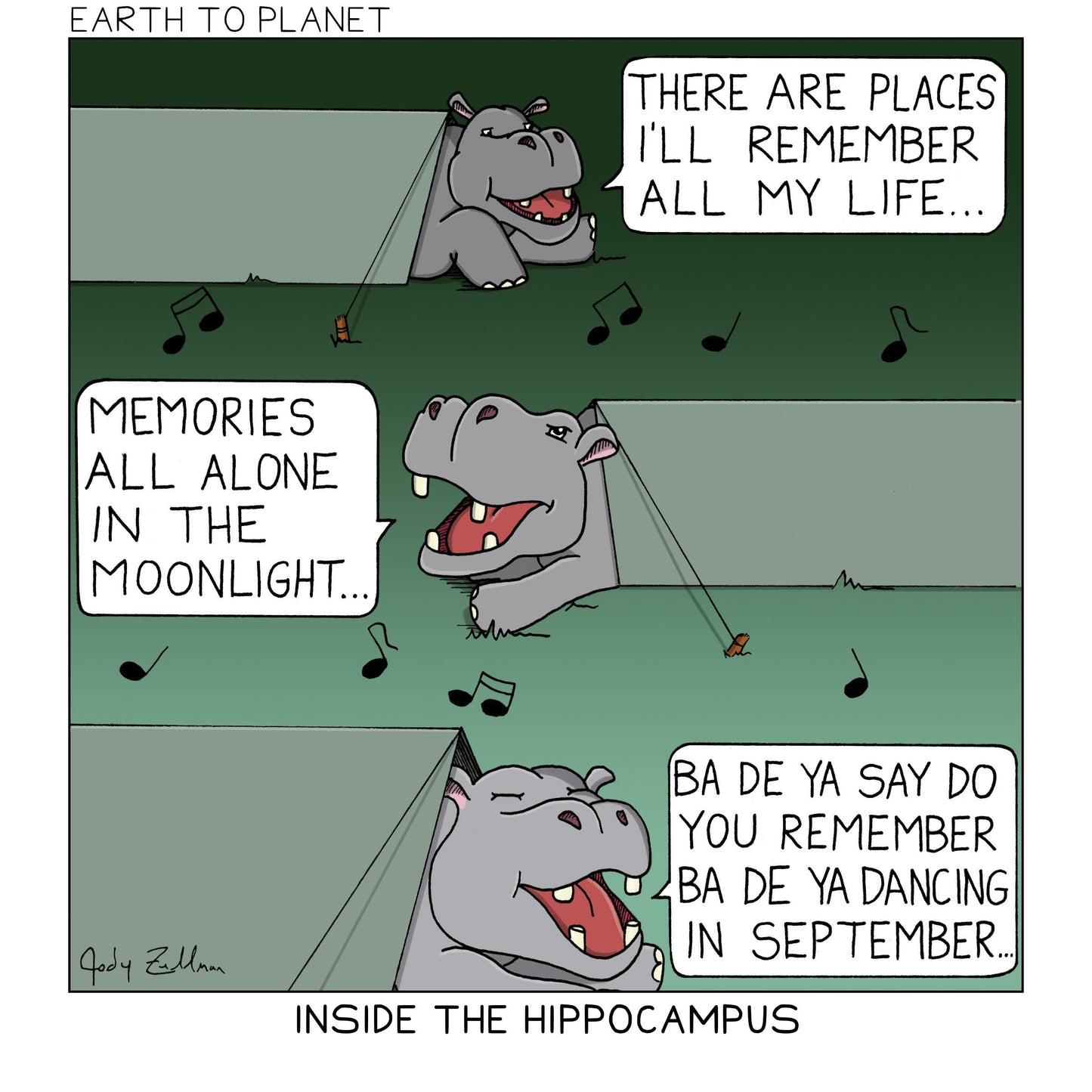 Hippocampus Cartoon