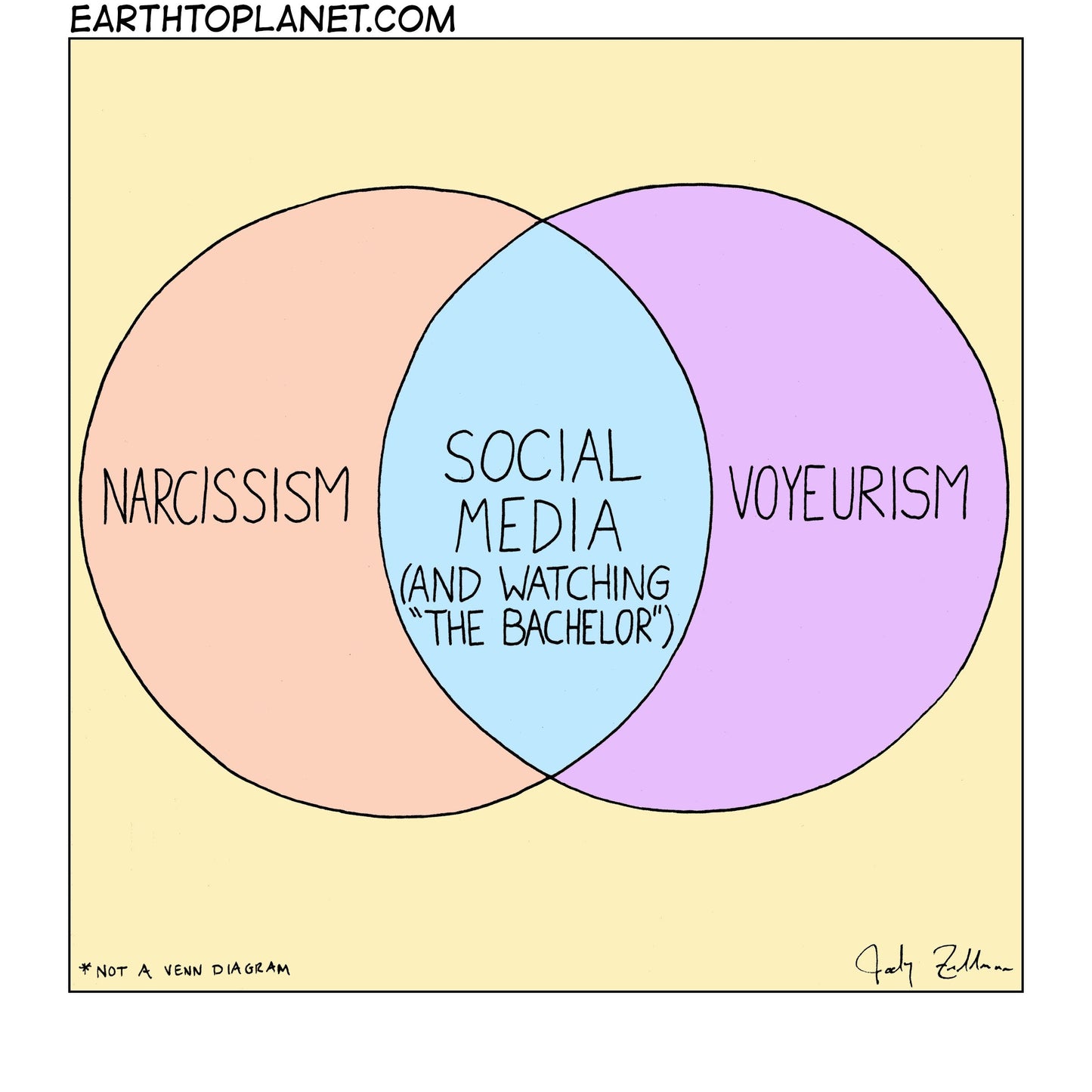 Narcissism and Voyeurism Cartoon