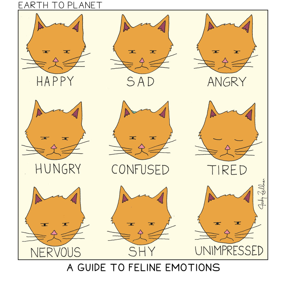 A-Guide-To-Feline-Emotions-Cartoon-Earth-To-Planet-Comics_1100x.jpg