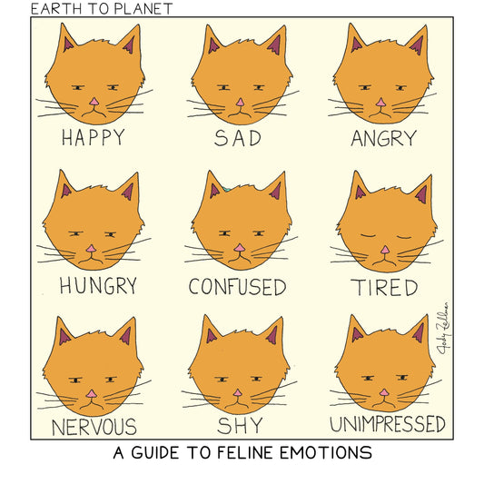 A Guide To Feline Emotions Cartoon