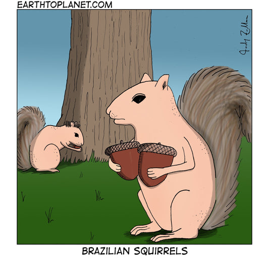 Brazilian Squirrels Cartoon