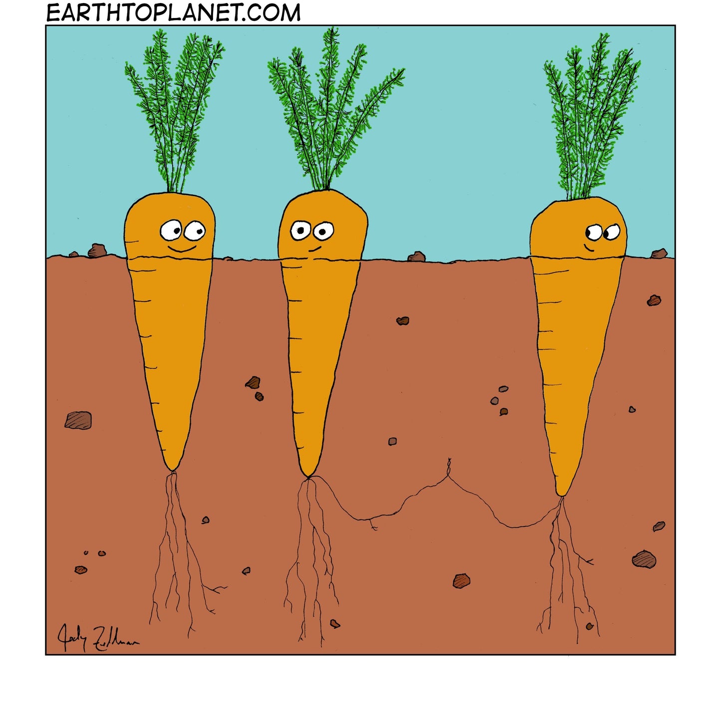 Carrots Cartoon