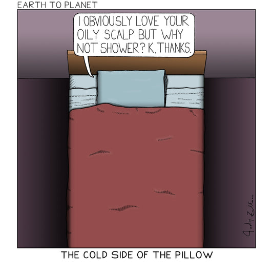 Cold Side of the Pillow Cartoon