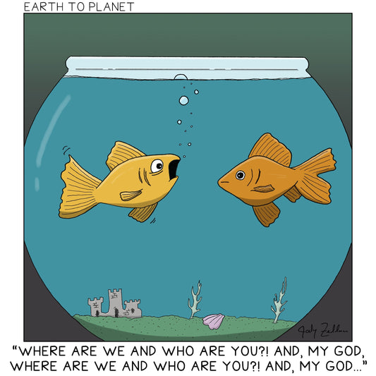 Goldfish Amnesia Cartoon