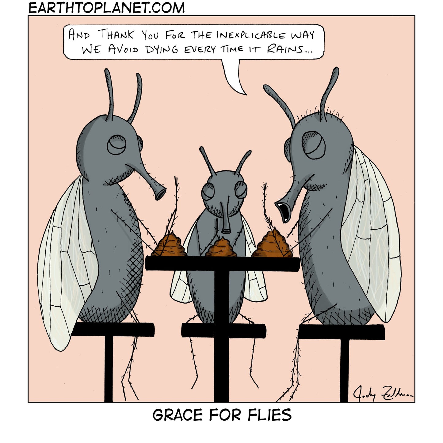 Grace For Flies Cartoon