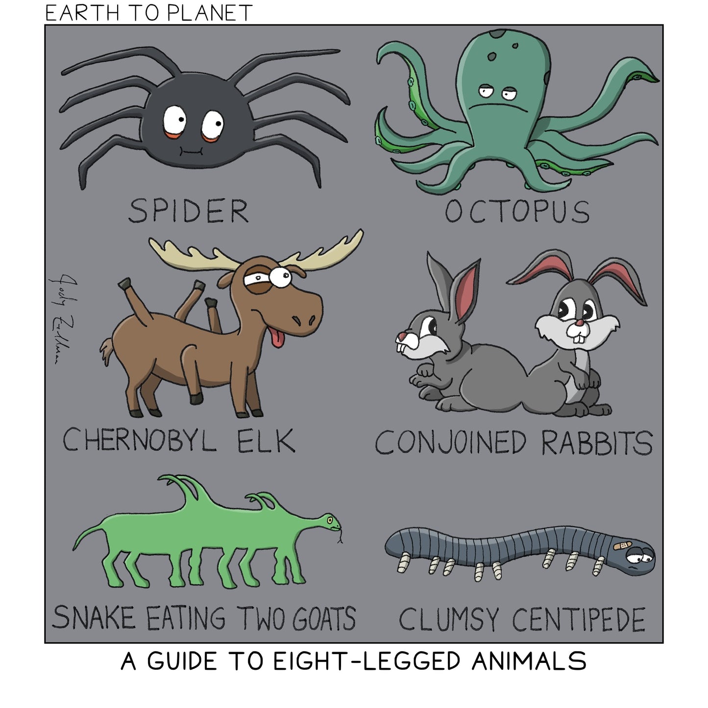 Guide To Eight-Legged Animals Cartoon
