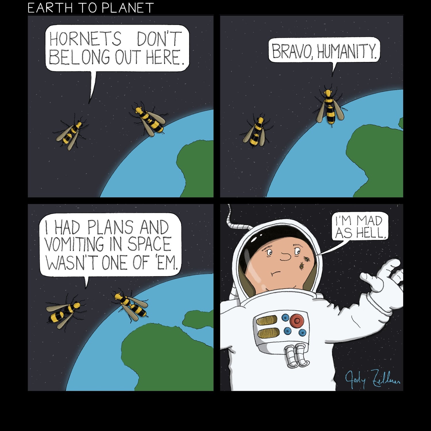 Hornets in Space Cartoon