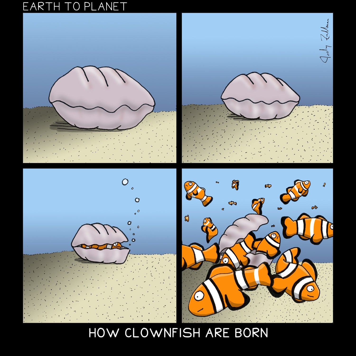 How Clownfish Are Born Cartoon