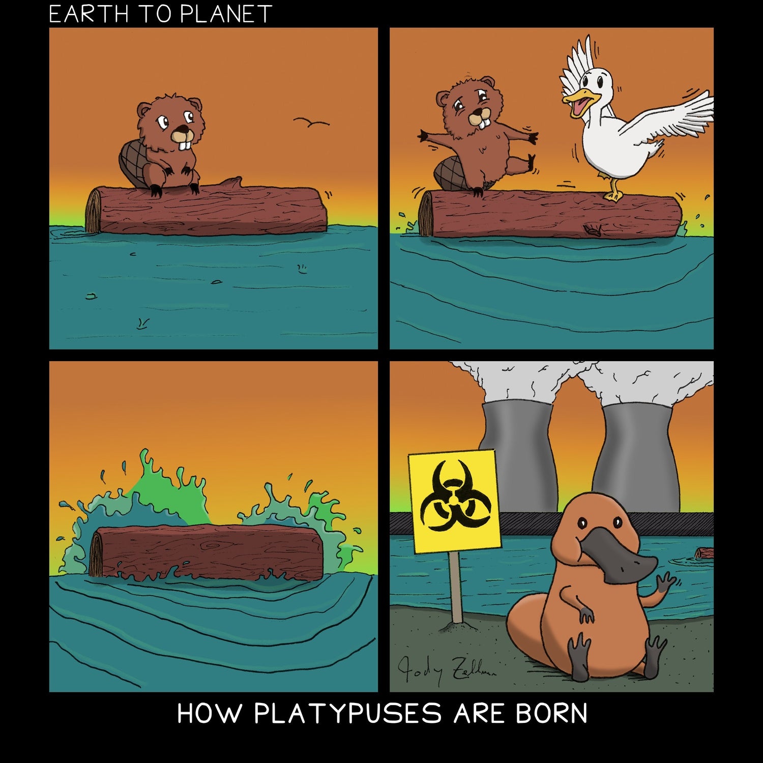 How Platypuses Are Born Cartoon