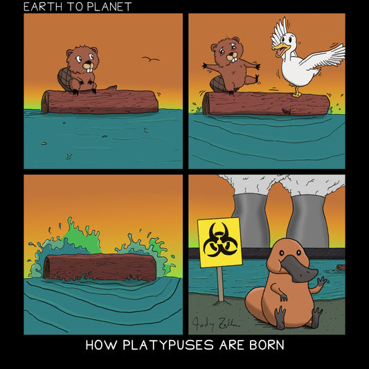 How Platypuses Are Born Cartoon