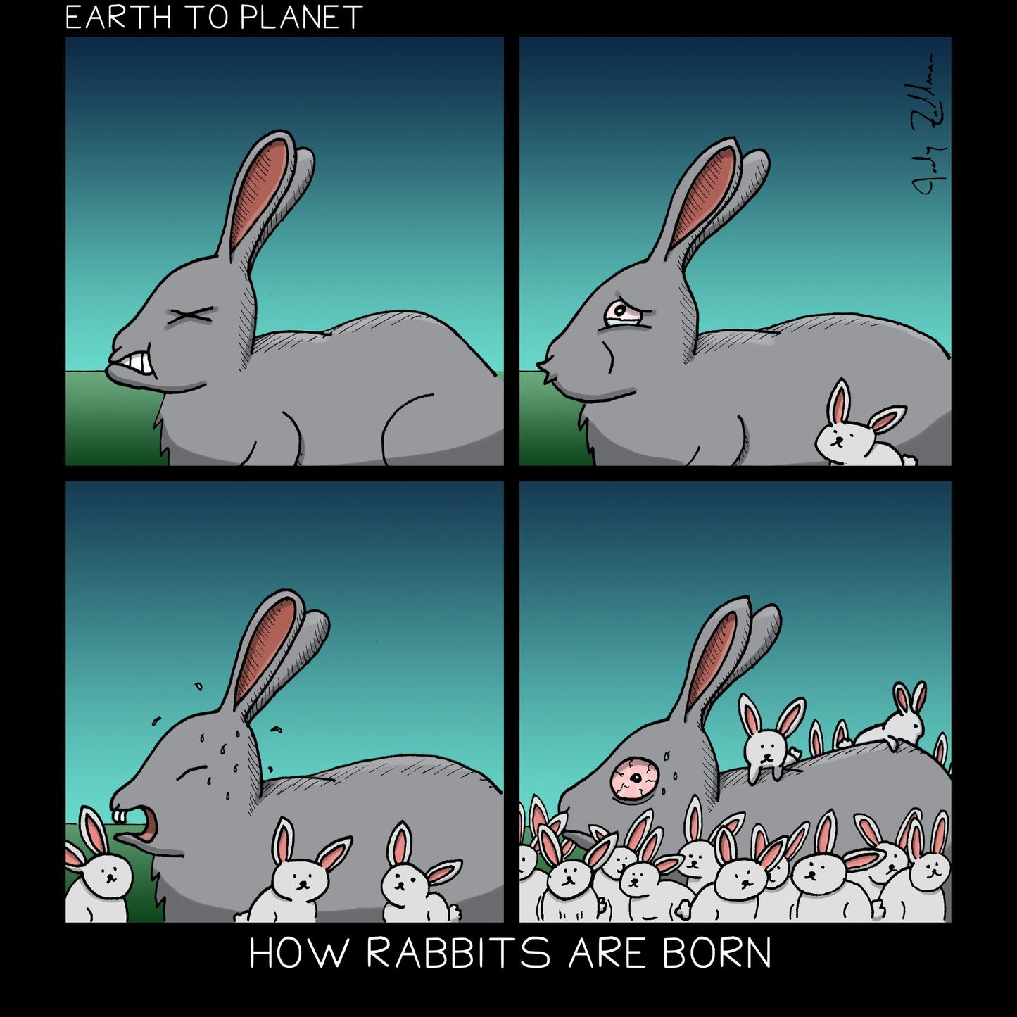 How Rabbits Are Born Cartoon