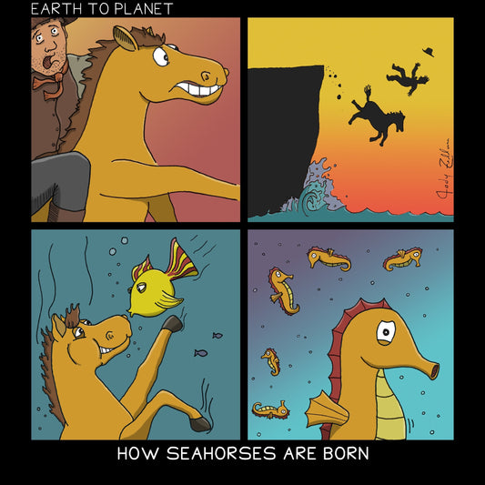 How Seahorses Are Born Cartoon