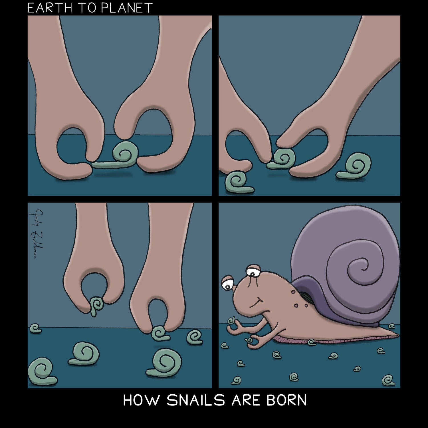 How Snails Are Born Cartoon