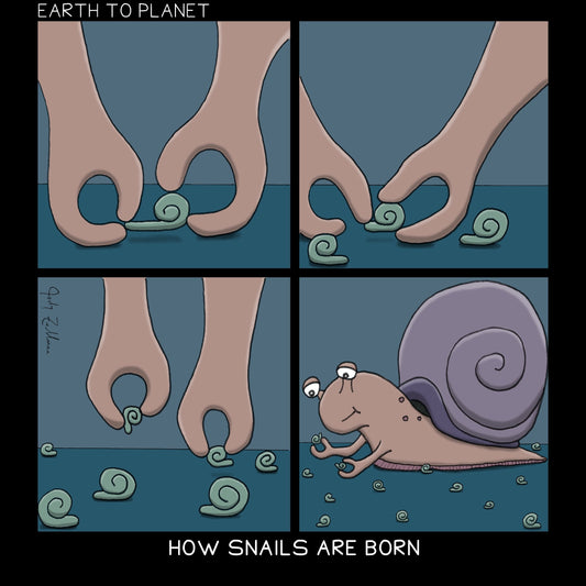 How Snails Are Born Cartoon