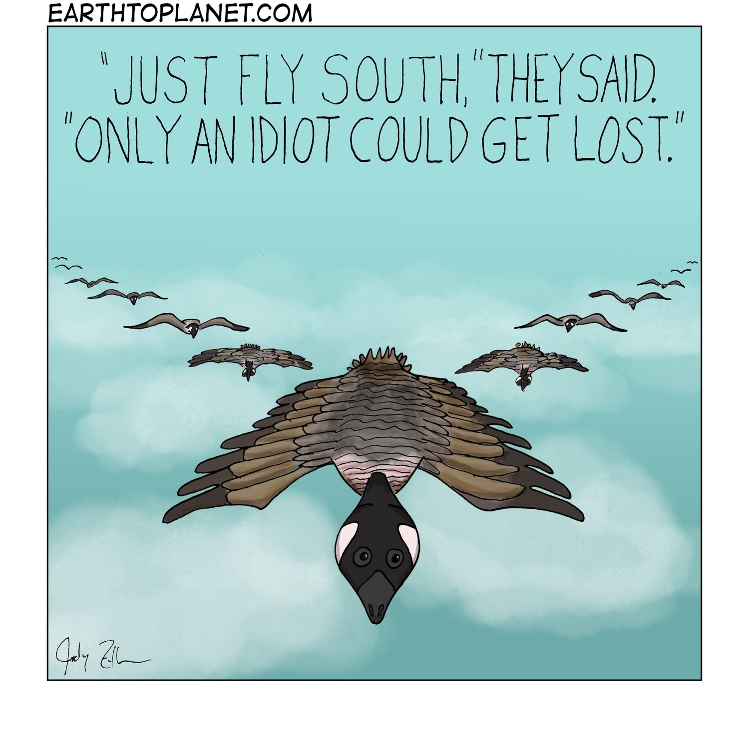 Just Fly South Cartoon