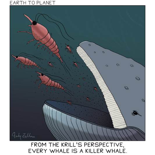 Krill Cartoon