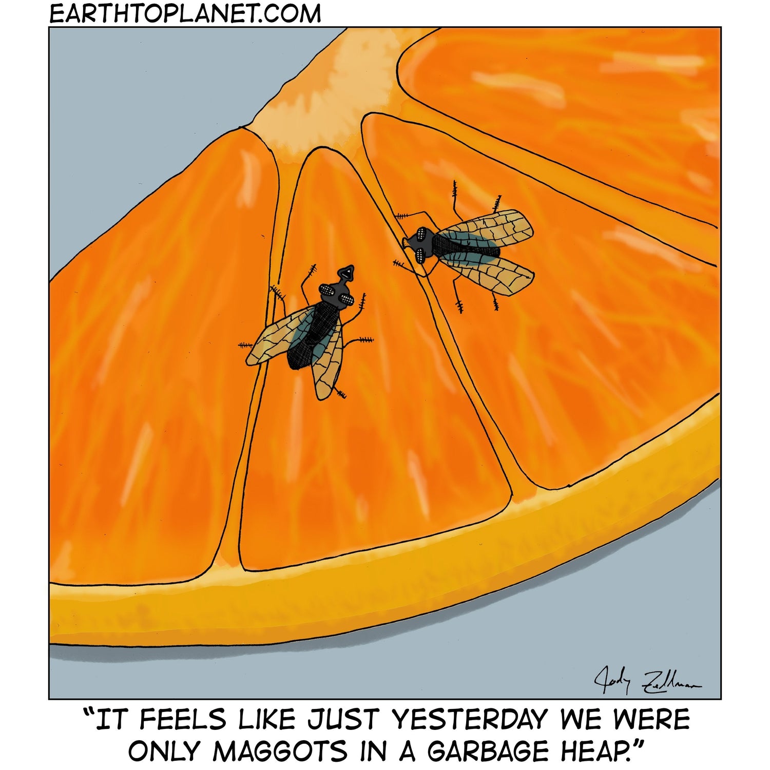 Maggots Cartoon