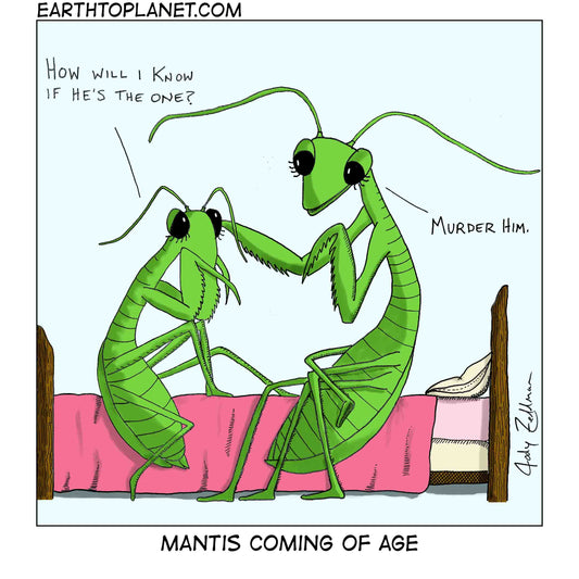 Mantis Coming of Age Cartoon