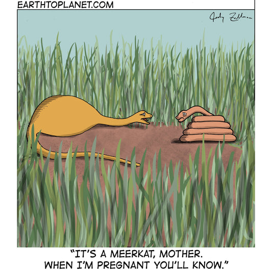 Meerkat Cartoon