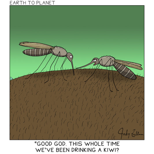 Mosquito Kiwi Cartoon