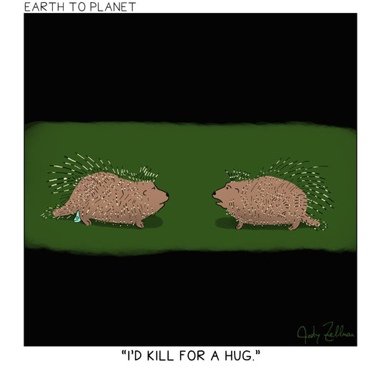 Porcupine Hug Cartoon