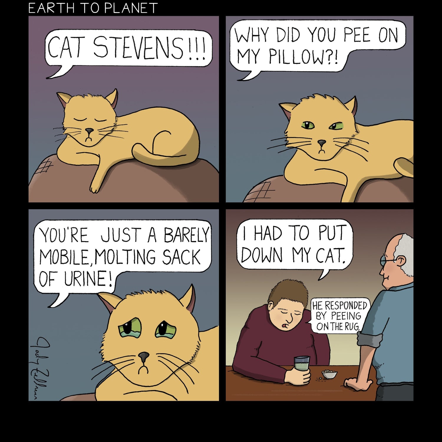 Put Down My Cat Cartoon