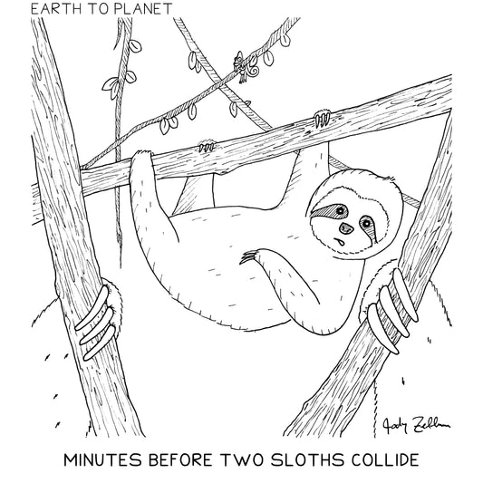 Sloth Collision