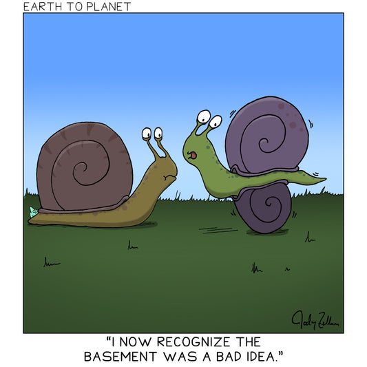 Snail Basement