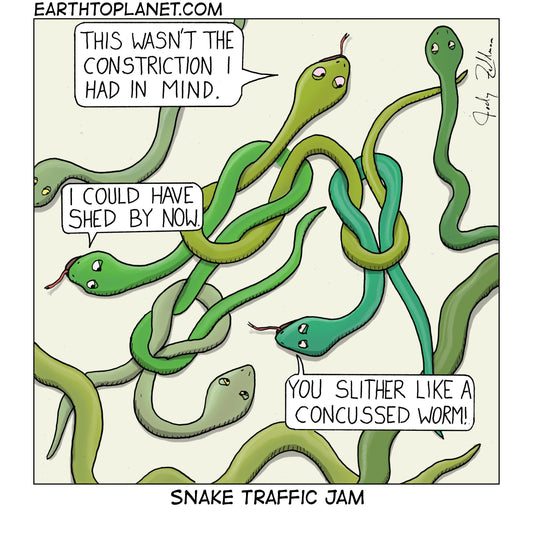 Snake Traffic Jam Cartoon