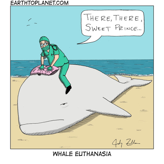 Whale Euthanasia Cartoon